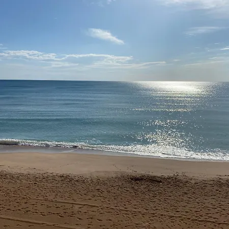 Caballito De Mar *