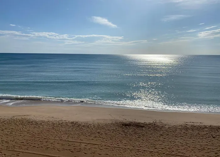Caballito De Mar *